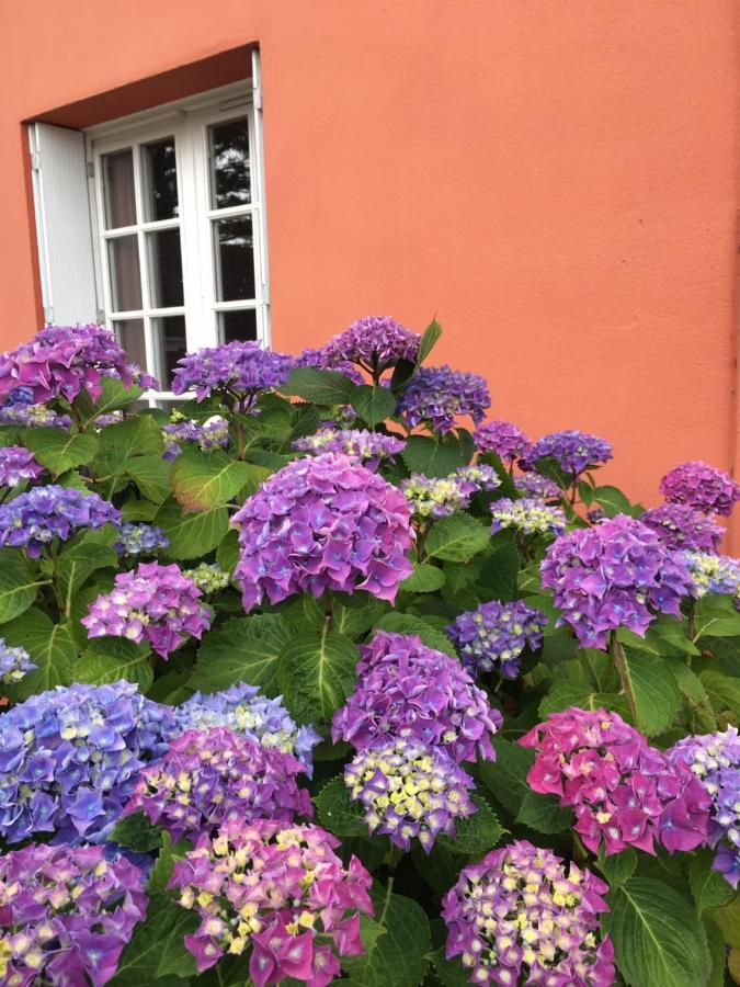 Hotel La Belle Etoile Thouaré-sur-Loire エクステリア 写真